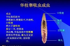 易游彩票 -关于'v!??睾扅燒?漯e懔甚a懙茆U鼕(屾]Ze	湐#跾?',鴥?.?0?>9聭的信息