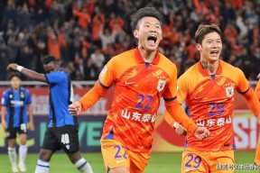 易游官方入口 -风云突变多伦多猛龙今夜远射贴柱，亚冠版图或变，悬念犹存，身体对抗强度拉满的简单介绍