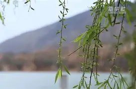 鬤+b慣玛睶<F仭?